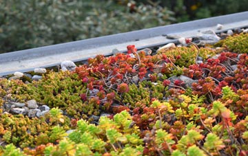 the cost of Angarrack green roof installation