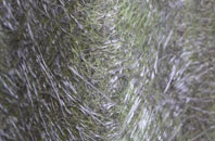 Angarrack fibreglass roof work